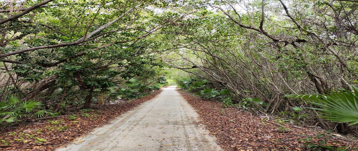 Foto de terreno habitacional en venta en  , mahahual, othón p. blanco, quintana roo, 0 No. 05