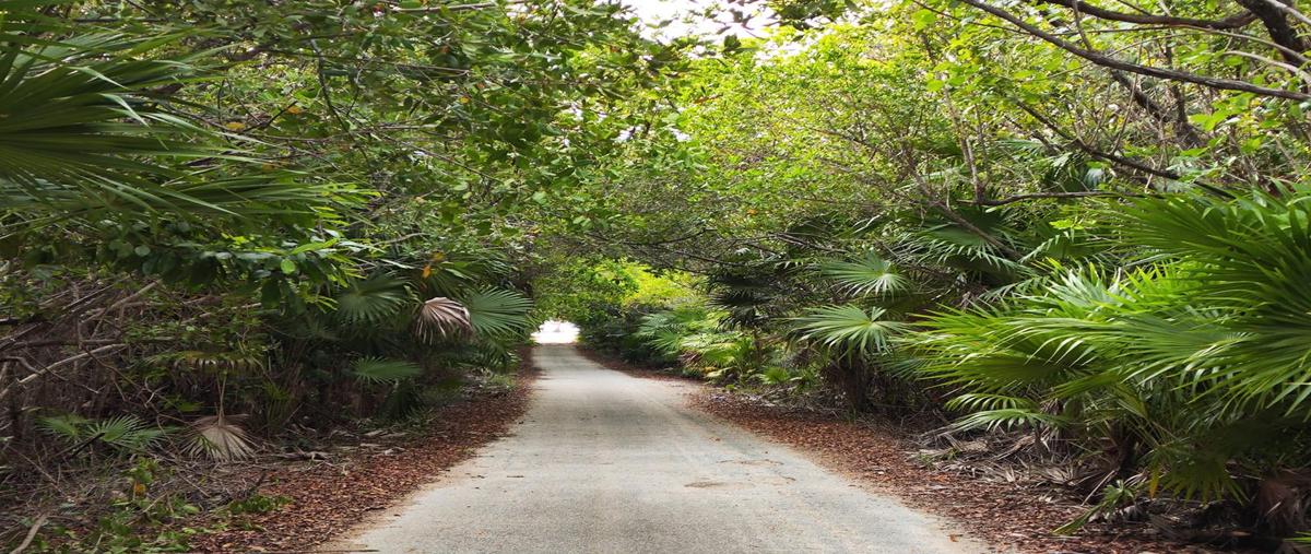 Foto de terreno habitacional en venta en  , mahahual, othón p. blanco, quintana roo, 0 No. 03