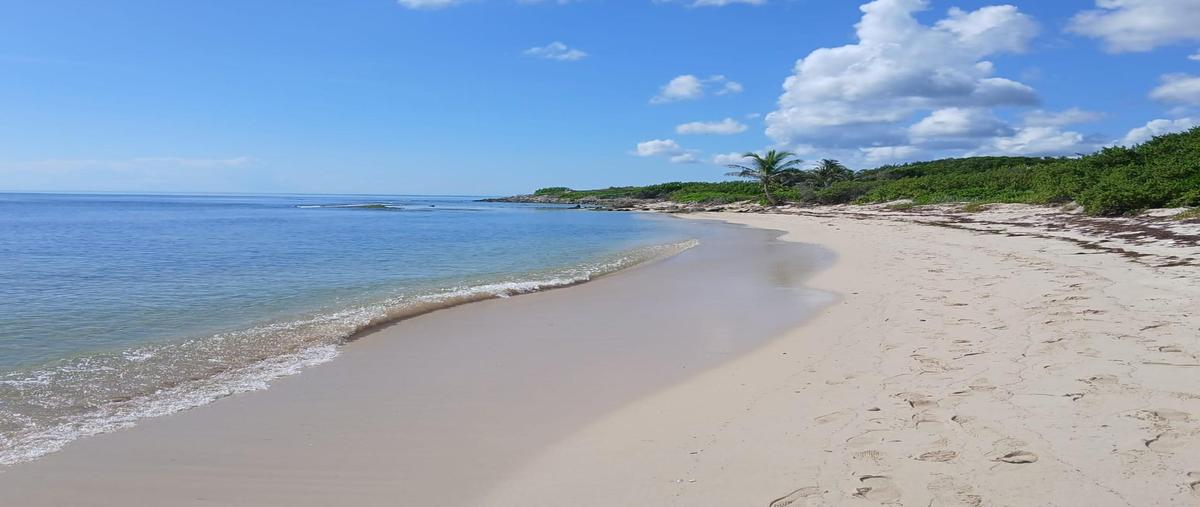 Foto de terreno habitacional en venta en  , mahahual, othón p. blanco, quintana roo, 0 No. 04