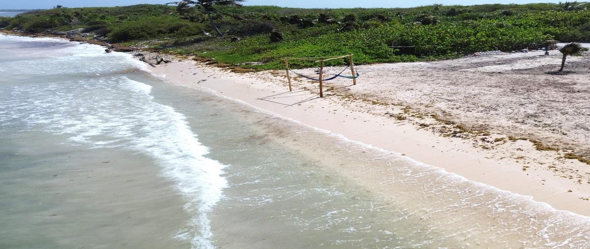 Foto de terreno habitacional en venta en  , mahahual, othón p. blanco, quintana roo, 0 No. 05