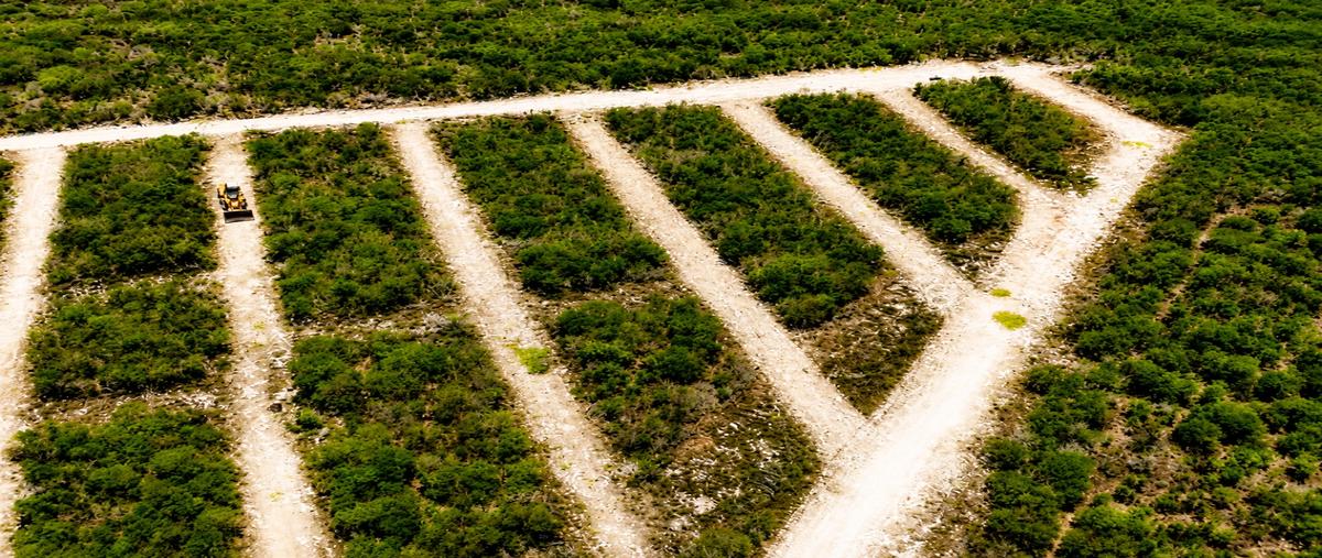 Foto de terreno habitacional en venta en  , mahahual, othón p. blanco, quintana roo, 31529774 No. 04