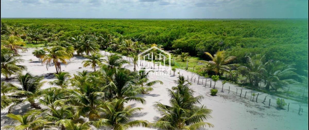 Foto de terreno habitacional en venta en  , mahahual, othón p. blanco, quintana roo, 0 No. 03