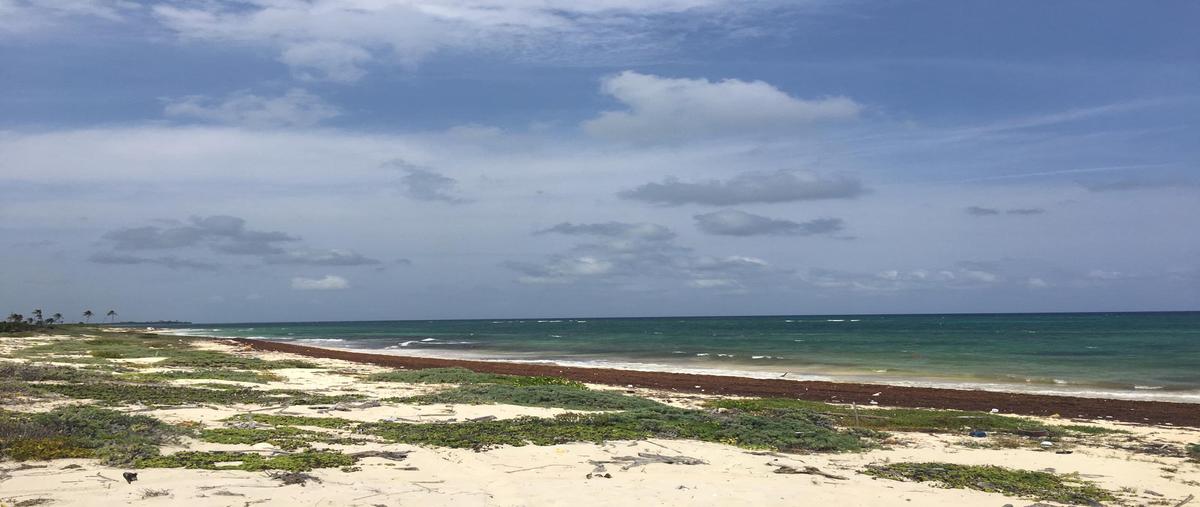 Foto de terreno habitacional en venta en  , mahahual, othón p. blanco, quintana roo, 0 No. 03