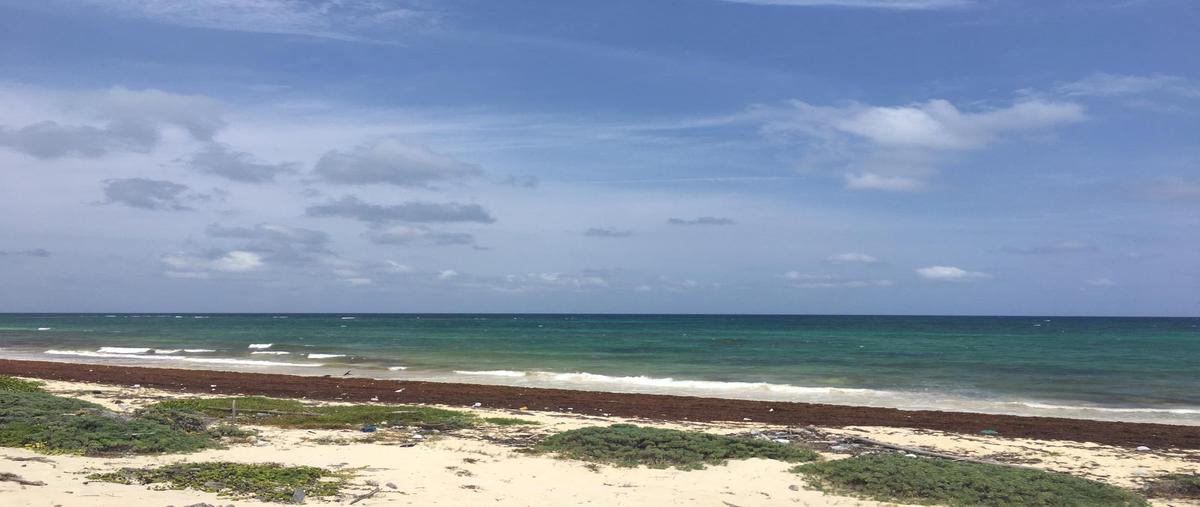 Foto de terreno habitacional en venta en  , mahahual, othón p. blanco, quintana roo, 0 No. 04
