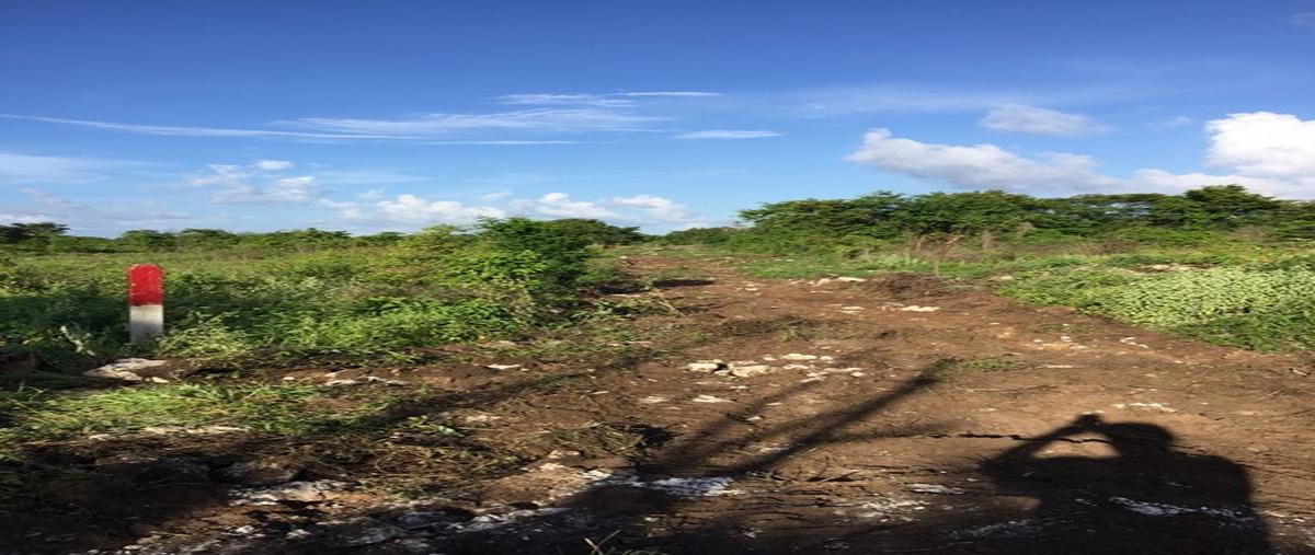 Foto de rancho en venta en  , mahahual, othón p. blanco, quintana roo, 0 No. 03