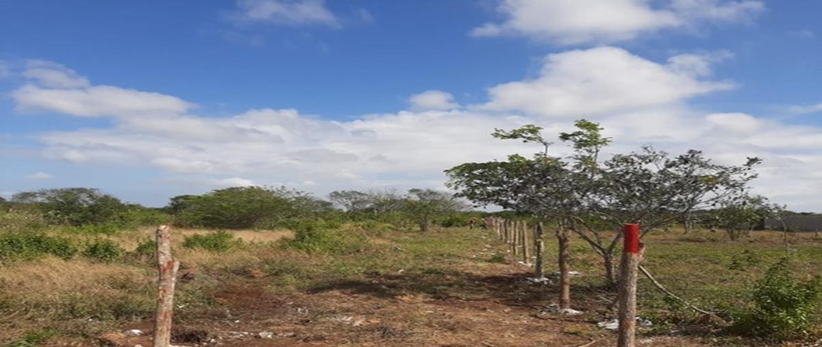 Foto de rancho en venta en  , mahahual, othón p. blanco, quintana roo, 0 No. 04