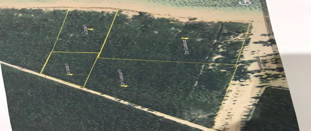 Foto de terreno habitacional en mahahual, othón p. blanco, quintana roo , mahahual, othón p. blanco, quintana roo, 25347774 foto 02 Foto de terreno habitacional en venta en mahahual, othón p. blanco, quintana roo , mahahual, othón p. blanco, quintana roo, 25347774 No. 02