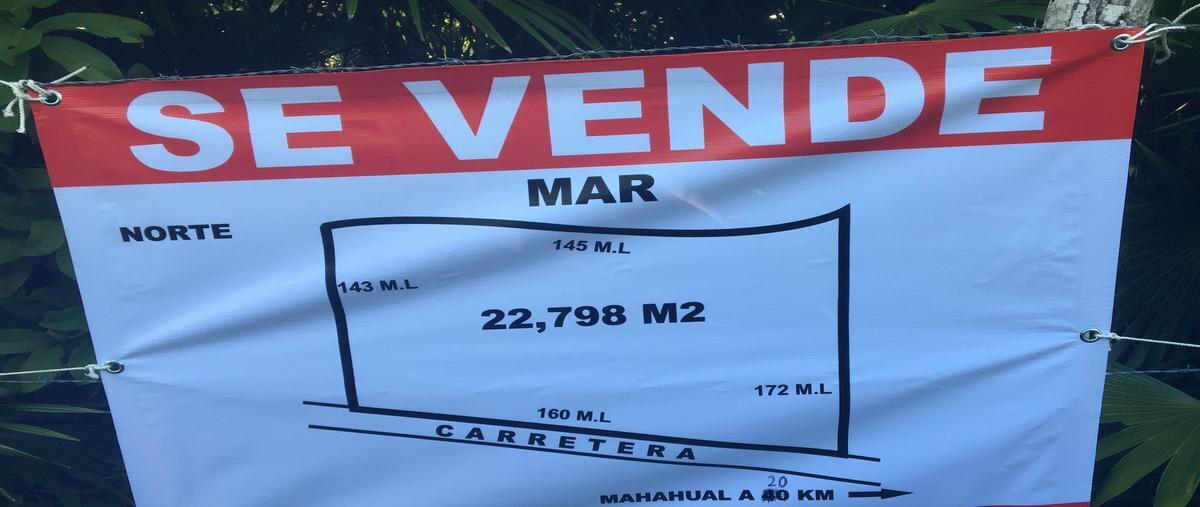 Foto de terreno habitacional en mahahual, othón p. blanco, quintana roo , mahahual, othón p. blanco, quintana roo, 25347774 foto 05 Foto de terreno habitacional en venta en mahahual, othón p. blanco, quintana roo , mahahual, othón p. blanco, quintana roo, 25347774 No. 05