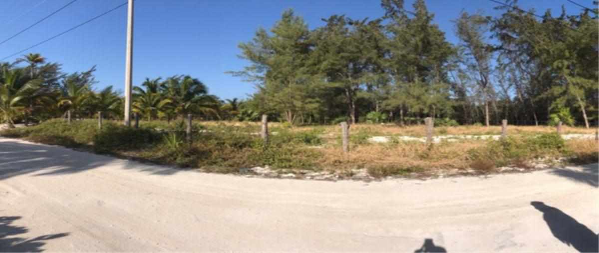 Foto de terreno habitacional en venta en mahahual whi302875, mahahual, othón p. blanco, quintana roo, 27332436 No. 03