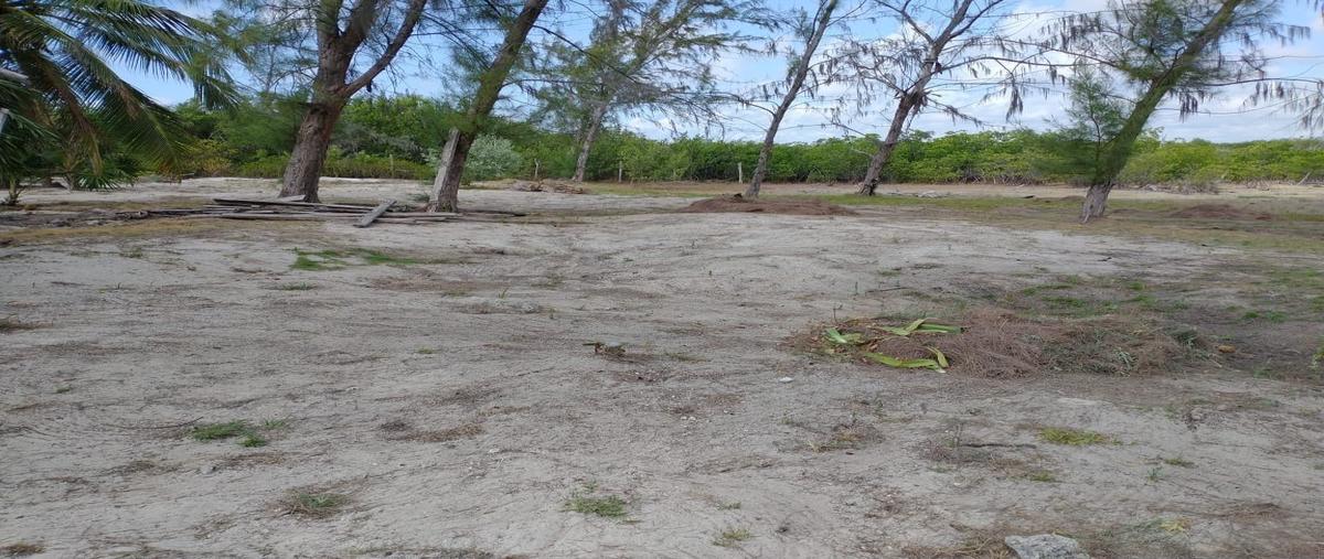 Foto de terreno habitacional en venta en mahahual whi302875, mahahual, othón p. blanco, quintana roo, 27332436 No. 04