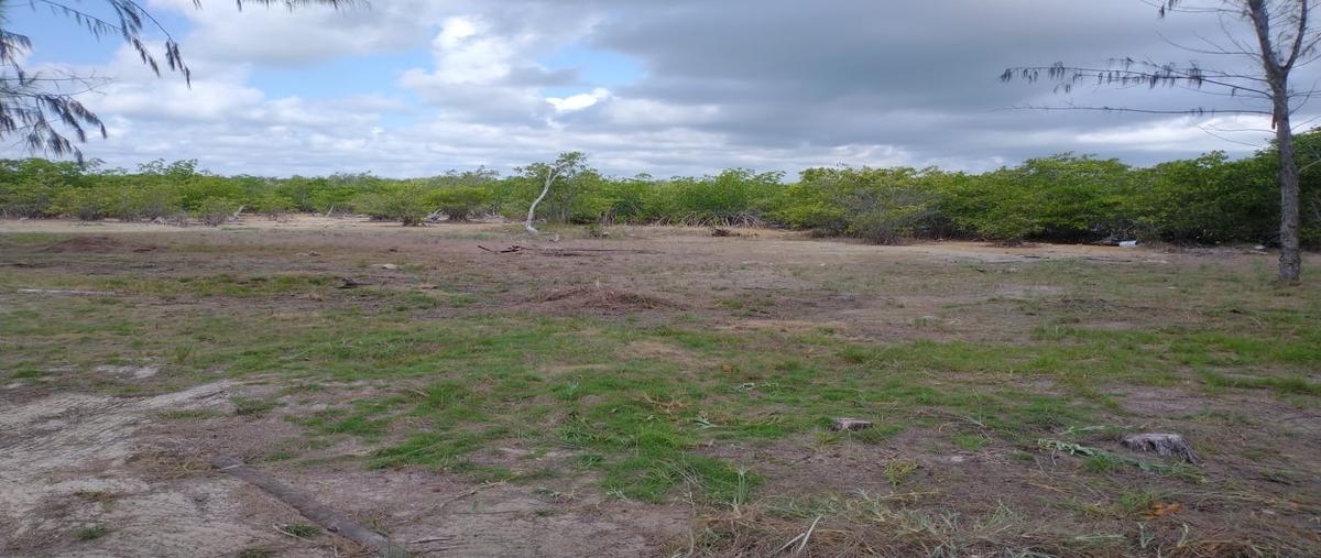 Foto de terreno habitacional en venta en mahahual whi302875, mahahual, othón p. blanco, quintana roo, 27332436 No. 05