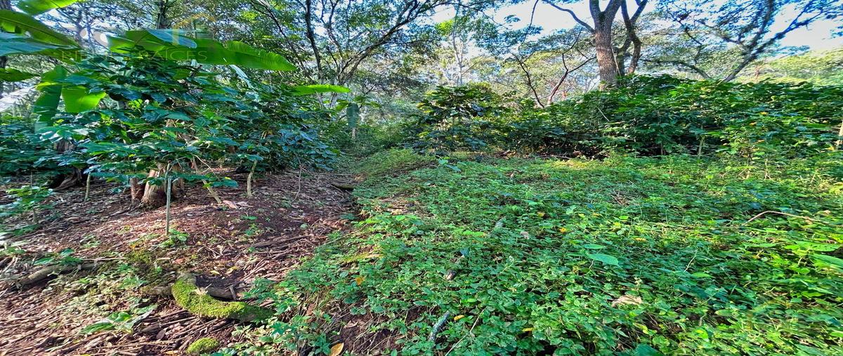 Foto de terreno habitacional en venta en  , mahuixtlan, coatepec, veracruz de ignacio de la llave, 0 No. 05