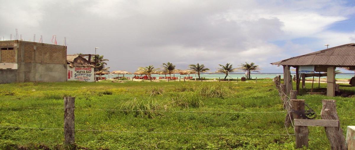 Foto de terreno habitacional en venta en  , majahual, tamiahua, veracruz de ignacio de la llave, 0 No. 03