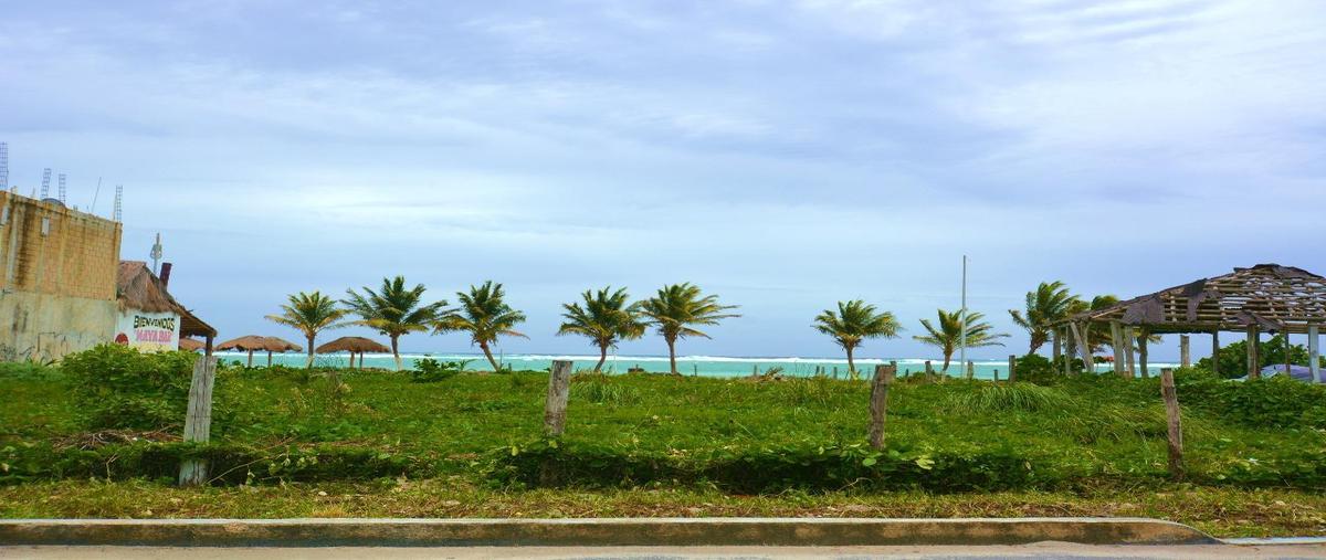 Foto de terreno habitacional en venta en  , majahual, tamiahua, veracruz de ignacio de la llave, 0 No. 04