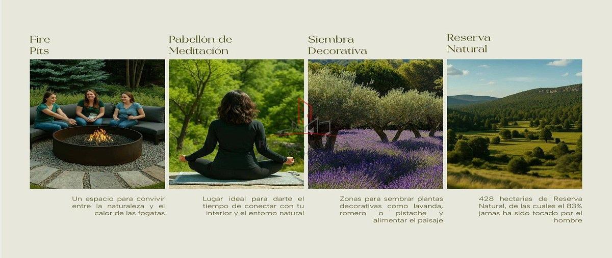 Foto de terreno habitacional en venta en  , majalca, chihuahua, chihuahua, 0 No. 07