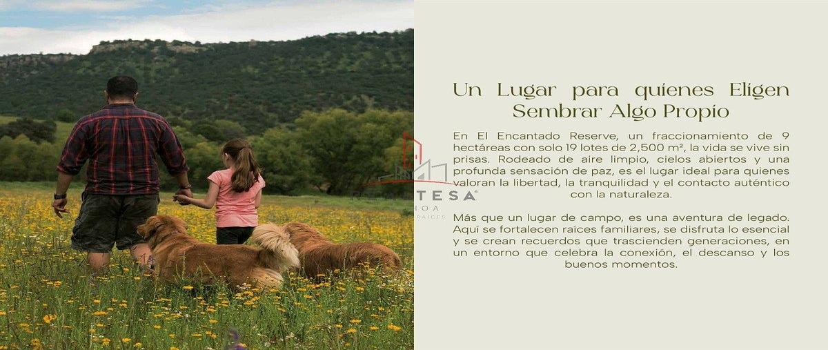 Foto de terreno habitacional en venta en  , majalca, chihuahua, chihuahua, 0 No. 09