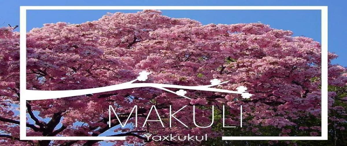 Foto de terreno habitacional en venta en makuli , yaxkukul, yaxkukul, yucatán, 0 No. 05