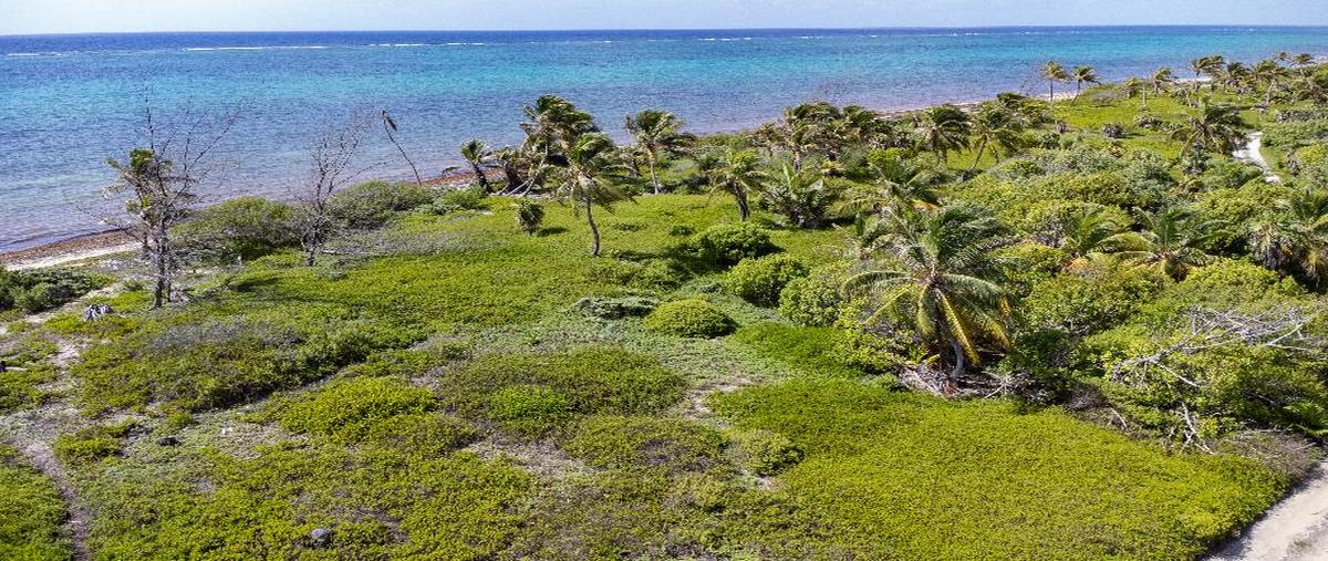Foto de terreno habitacional en venta en malecon 3, mahahual, othón p. blanco, quintana roo, 28564557 No. 03
