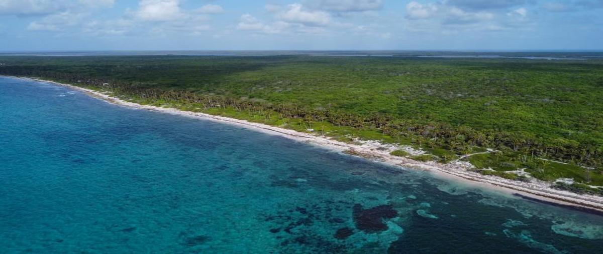 Foto de terreno habitacional en venta en malecon 3, mahahual, othón p. blanco, quintana roo, 28564557 No. 04