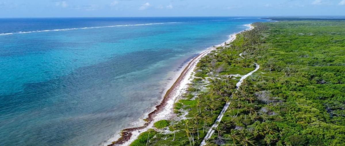 Foto de terreno habitacional en venta en malecon 3, mahahual, othón p. blanco, quintana roo, 28564557 No. 05