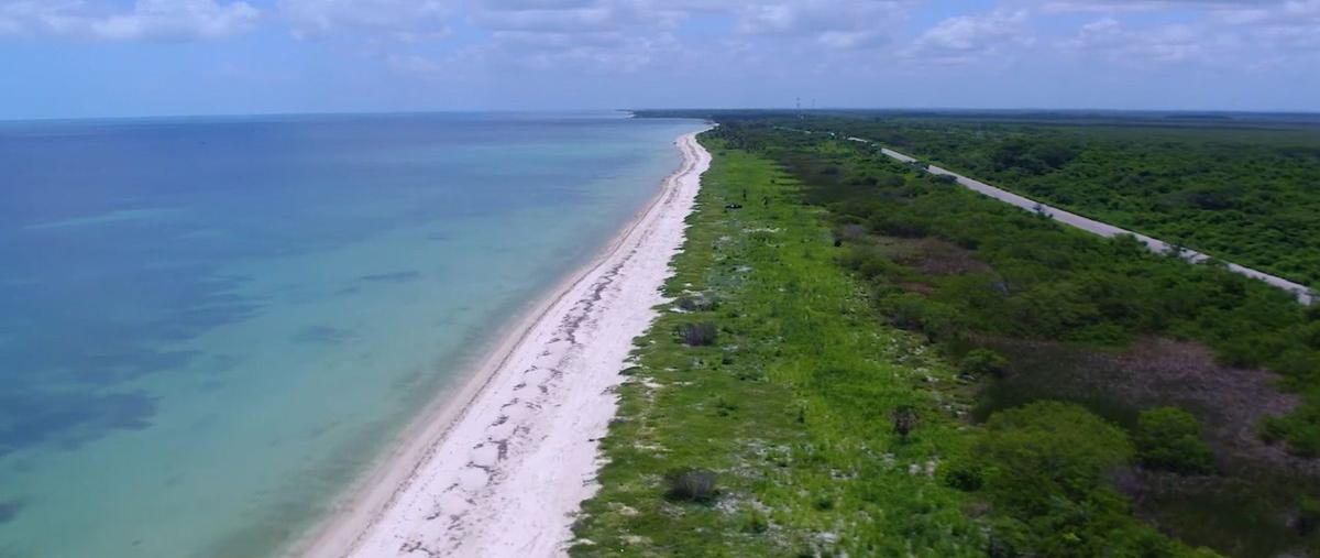 Foto de terreno habitacional en venta en  , malecón, champotón, campeche, 27314696 No. 04