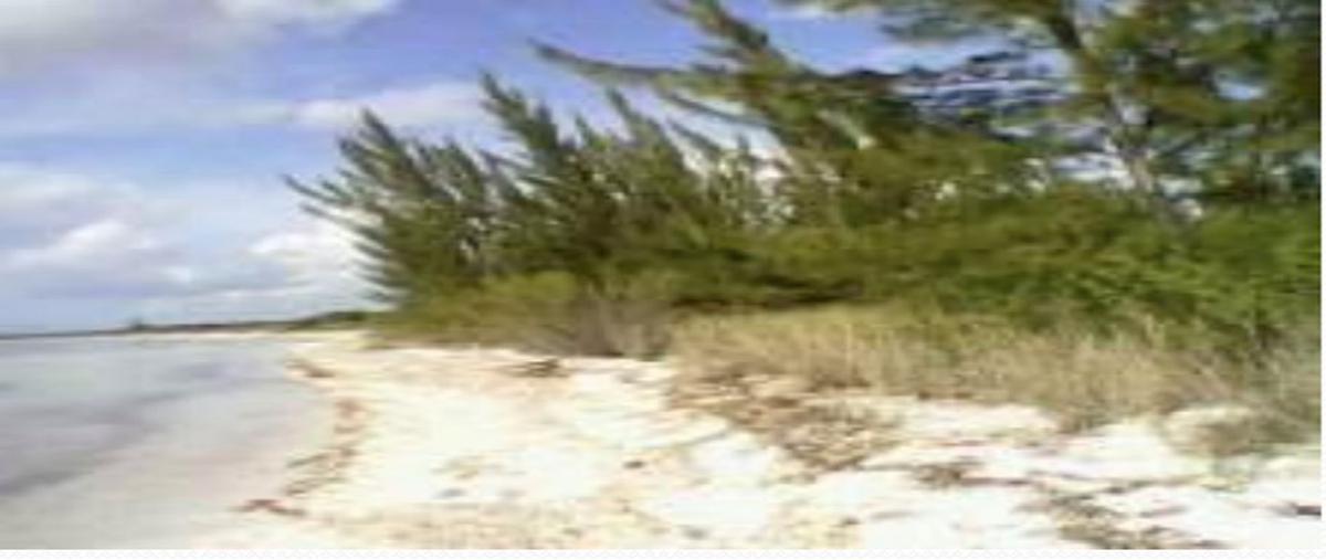 Foto de terreno habitacional en malecon , zona hotelera sur, cozumel, quintana roo, 0 foto 04 Foto de terreno habitacional en venta en malecon , zona hotelera sur, cozumel, quintana roo, 0 No. 04
