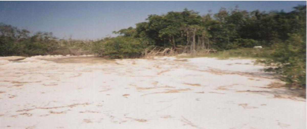 Foto de terreno habitacional en malecon , zona hotelera sur, cozumel, quintana roo, 0 foto 05 Foto de terreno habitacional en venta en malecon , zona hotelera sur, cozumel, quintana roo, 0 No. 05