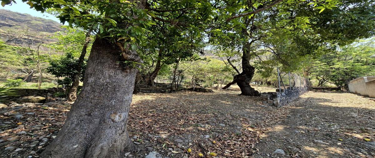 Foto de terreno habitacional en venta en  , malinalco, malinalco, méxico, 28093453 No. 03