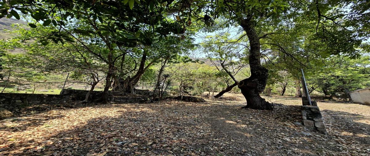 Foto de terreno habitacional en venta en  , malinalco, malinalco, méxico, 28093453 No. 04