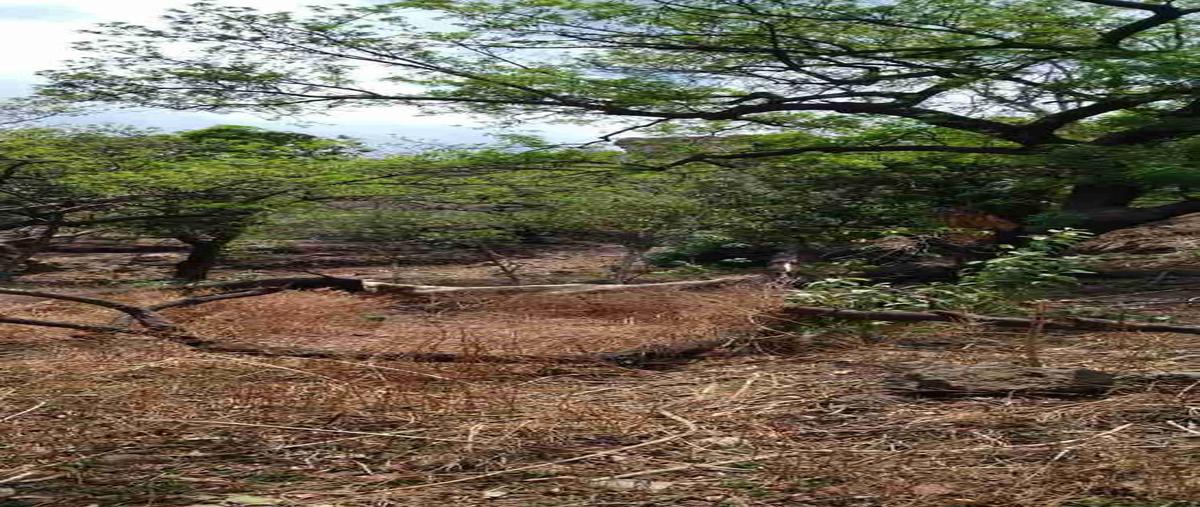 Foto de terreno habitacional en venta en  , malinalco, malinalco, méxico, 0 No. 03
