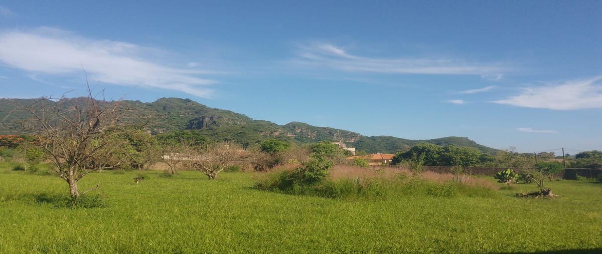 Foto de terreno habitacional en venta en  , malinalco, malinalco, méxico, 0 No. 03