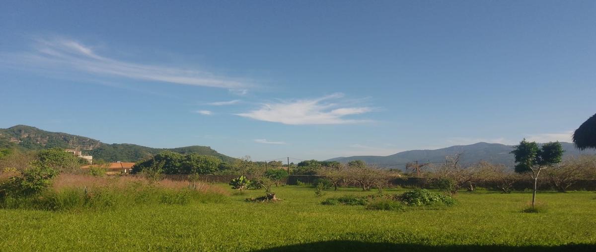 Foto de terreno habitacional en venta en  , malinalco, malinalco, méxico, 0 No. 04