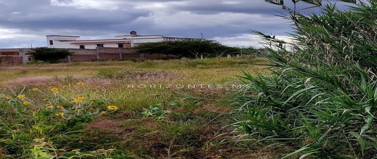 Foto de terreno habitacional en venta en maluco , el maluco, guanajuato, guanajuato, 25865213 No. 05