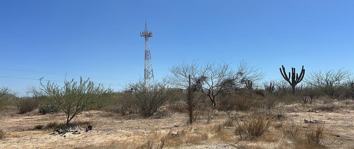 Foto de terreno habitacional en venta en malva , la pitahaya, la paz, baja california sur, 0 No. 04