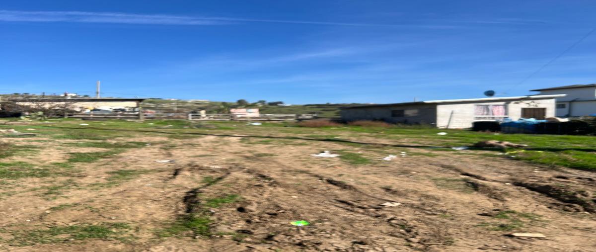 Foto de terreno habitacional en venta en manantial 270 , vista marina, playas de rosarito, baja california, 30614891 No. 04