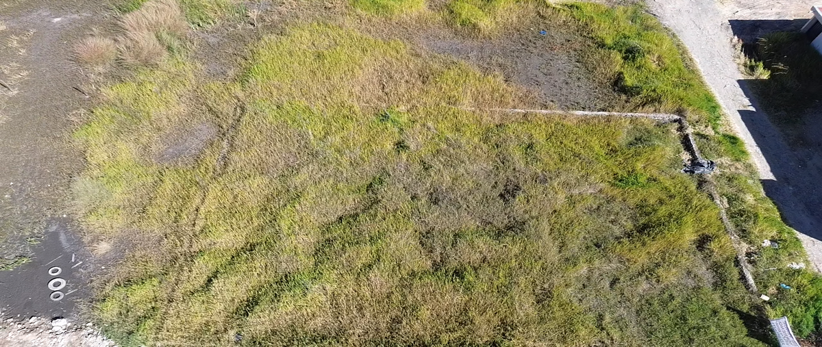 Foto de terreno habitacional en venta en manantial , lindavista, ocotlán, jalisco, 30562456 No. 03