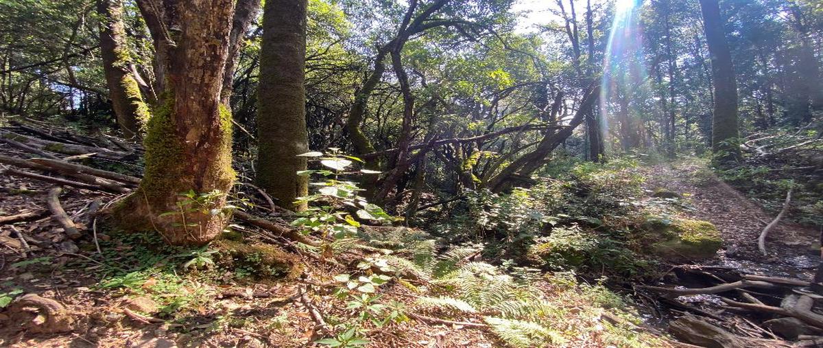 Foto de terreno comercial en venta en manantiales 6013, santa ana jilotzingo, jilotzingo, méxico, 0 No. 03