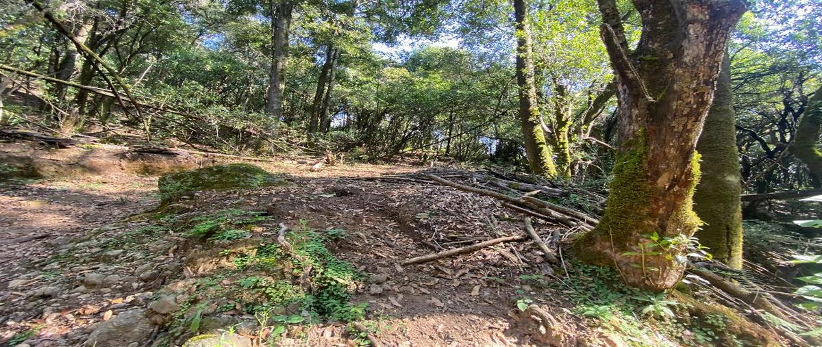 Foto de terreno comercial en venta en manantiales 6013, santa ana jilotzingo, jilotzingo, méxico, 0 No. 04