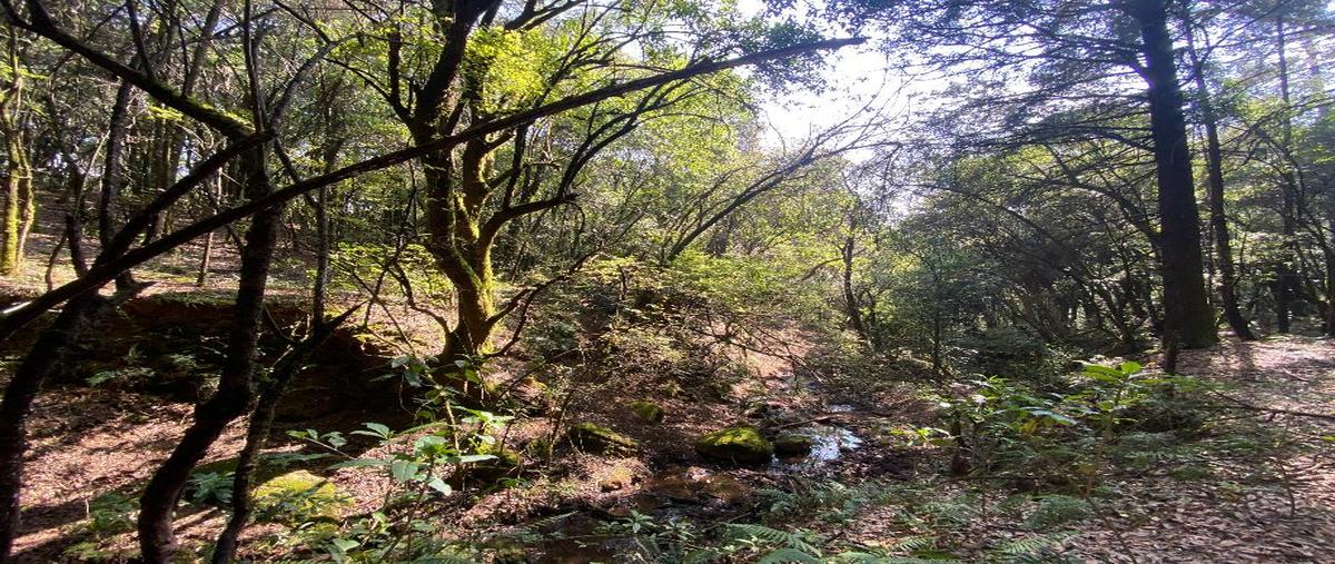 Foto de terreno comercial en venta en manantiales 6013, santa ana jilotzingo, jilotzingo, méxico, 0 No. 05