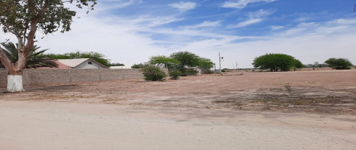 Foto de terreno comercial en renta en manantiales , los manantiales, mexicali, baja california, 30071651 No. 04