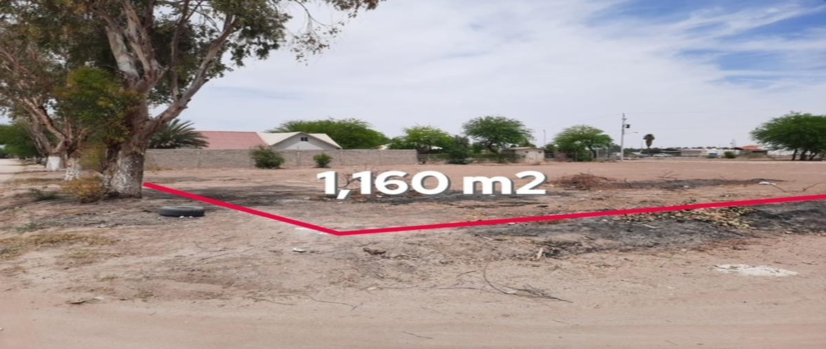 Foto de terreno comercial en renta en manantiales , los manantiales, mexicali, baja california, 30071651 No. 05