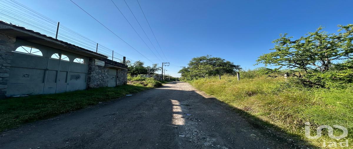 Foto de terreno habitacional en venta en mangos 121, alpuyeca, xochitepec, morelos, 30347791 No. 03