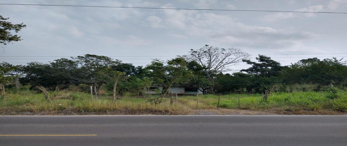 Foto de terreno habitacional en venta en  , manlio fabio altamirano, manlio fabio altamirano, veracruz de ignacio de la llave, 24848432 No. 03
