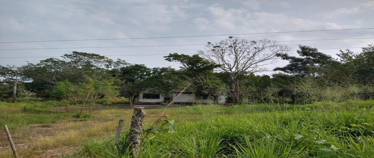 Foto de terreno habitacional en venta en  , manlio fabio altamirano, manlio fabio altamirano, veracruz de ignacio de la llave, 24848432 No. 04