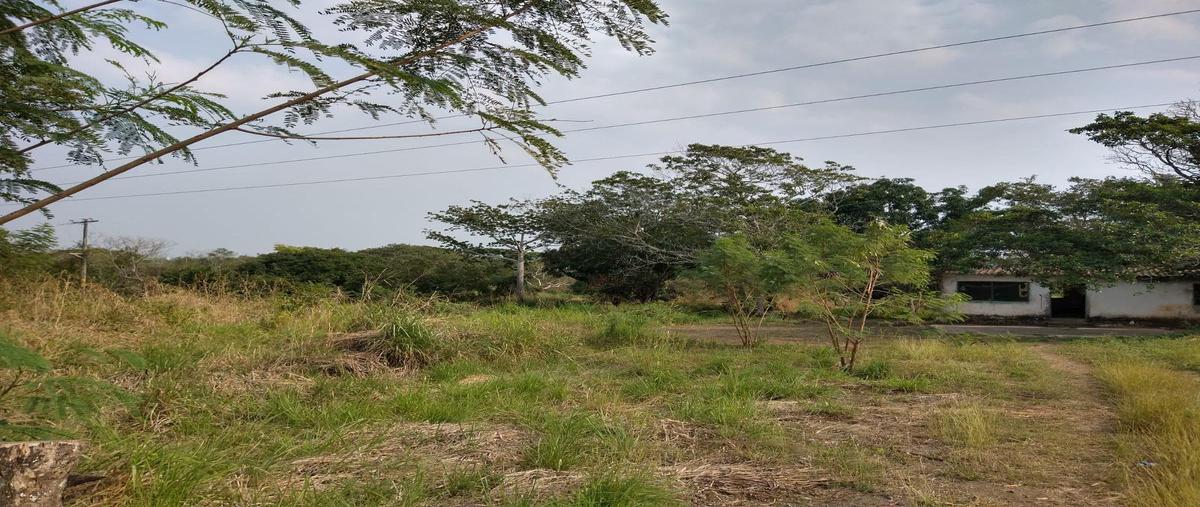 Foto de terreno habitacional en venta en  , manlio fabio altamirano, manlio fabio altamirano, veracruz de ignacio de la llave, 24848432 No. 05