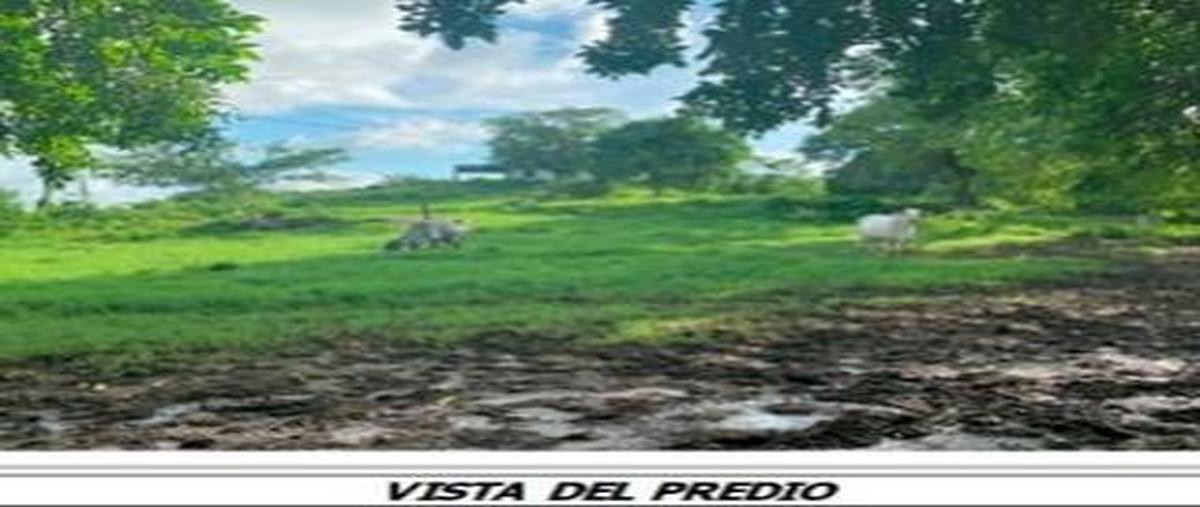 Foto de terreno habitacional en venta en  , manlio fabio altamirano, manlio fabio altamirano, veracruz de ignacio de la llave, 26934888 No. 05