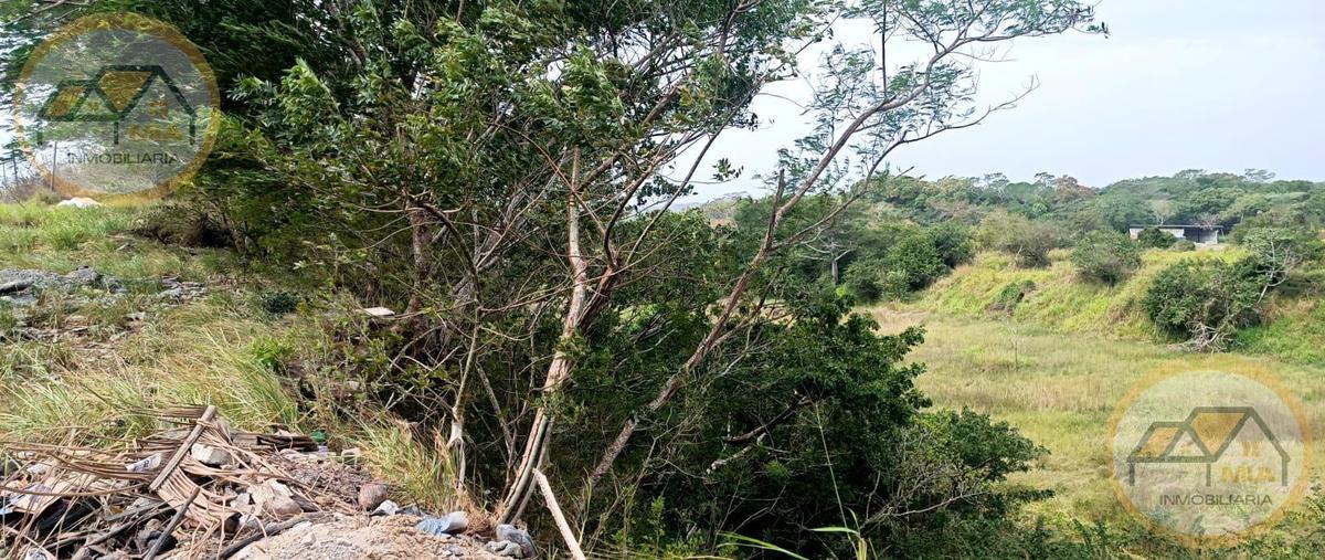 Foto de terreno habitacional en renta en  , manlio fabio altamirano, manlio fabio altamirano, veracruz de ignacio de la llave, 27519455 No. 05