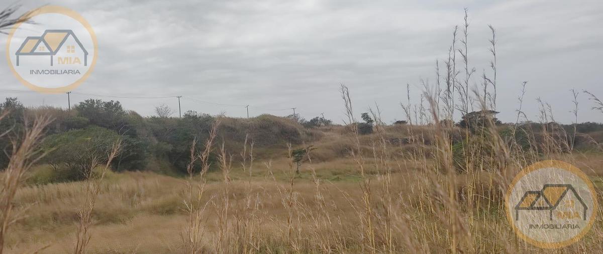 Foto de terreno habitacional en venta en  , manlio fabio altamirano, manlio fabio altamirano, veracruz de ignacio de la llave, 27537031 No. 03