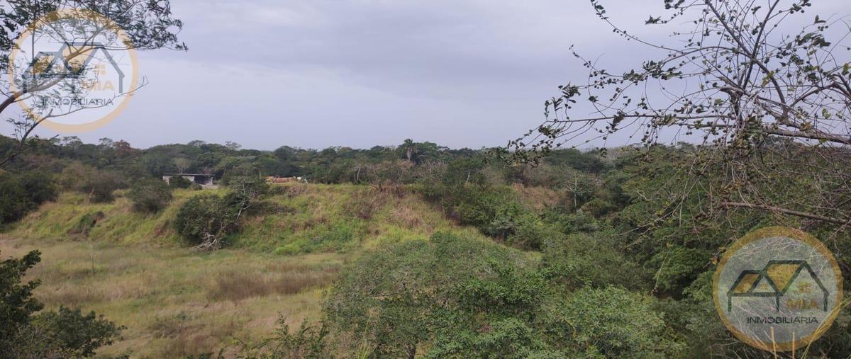 Foto de terreno habitacional en venta en  , manlio fabio altamirano, manlio fabio altamirano, veracruz de ignacio de la llave, 27537031 No. 04