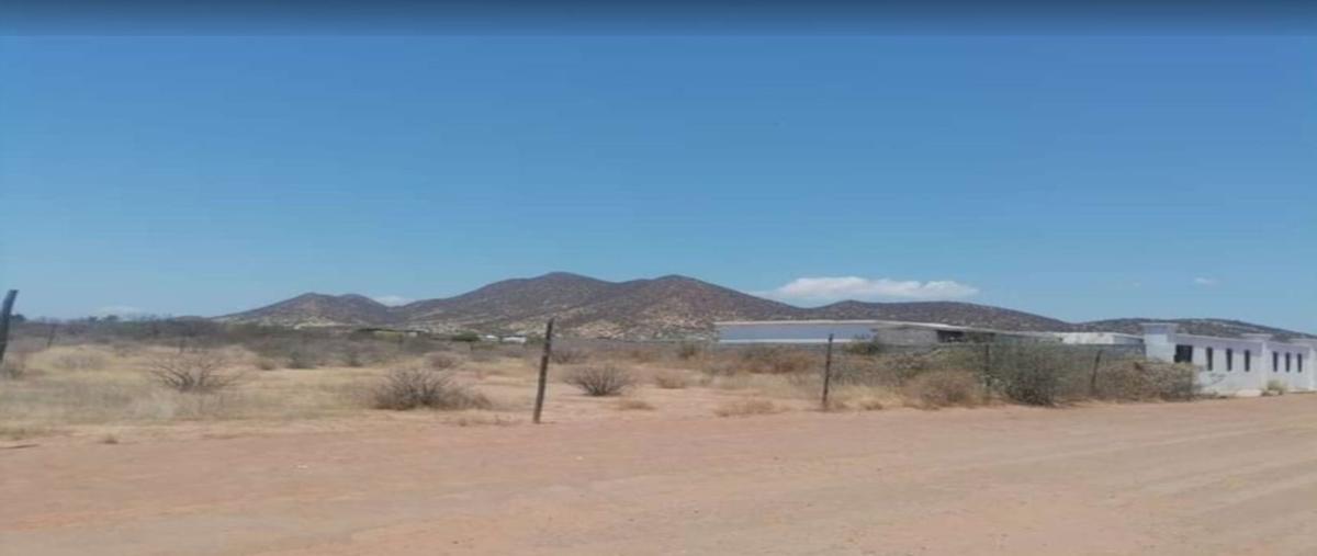 Foto de terreno habitacional en venta en manlio flavio borquez , san carlos nuevo guaymas, guaymas, sonora, 0 No. 01